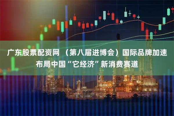 广东股票配资网 （第八届进博会）国际品牌加速布局中国“它经济”新消费赛道