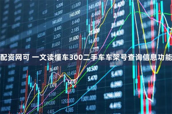 配资网可 一文读懂车300二手车车架号查询信息功能